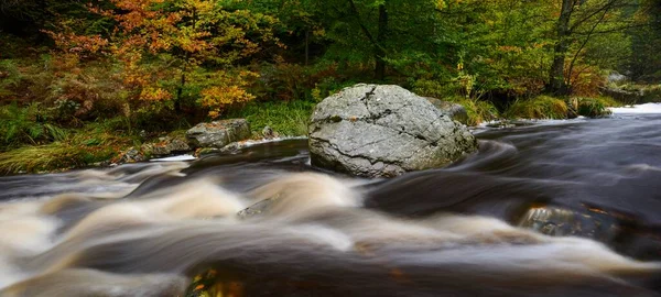 Floden Hoegne Hösten Hohes Venn Ardennerna Vallonien Belgien Europa — Stockfoto