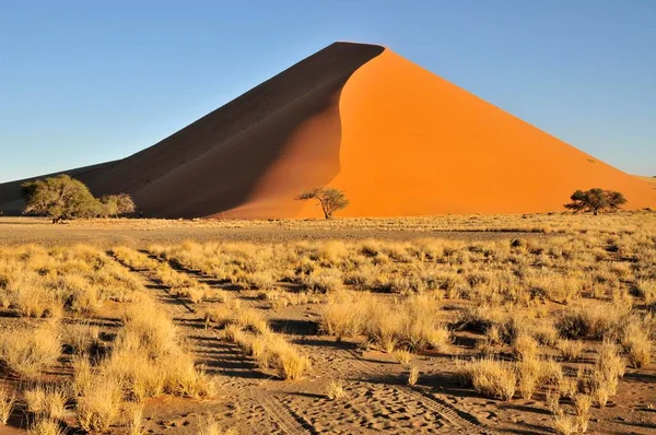 아프리카 나미브사막 근처에서 오후에 비치는 — 스톡 사진