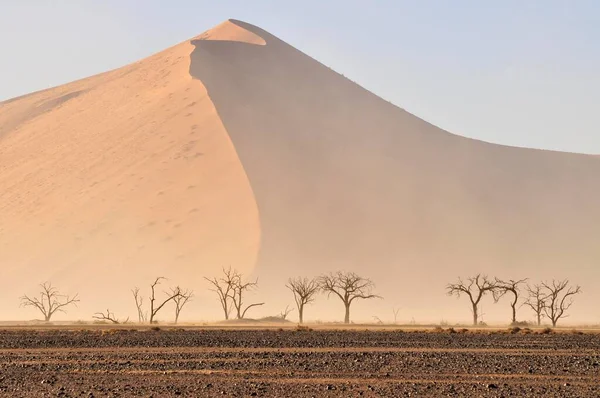 Sand storm in the Namib Desert near Sossusvlei, Namib Naukluft Park, Namibia, Africa