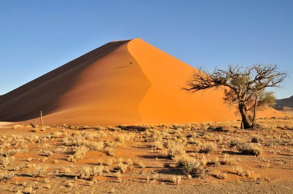 Dune Sable Dans Lumière Après Midi Près Sossusvlei Namib Desert — Photo
