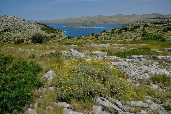 Vue Île Levrnaka Sur Les Îles Kornati Mer Adriatique Parc — Photo