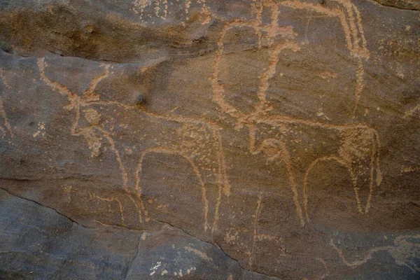 Incisione Rupestre Due Antilopi Del Neolitico Sabu Nubia Sudan Africa — Foto Stock