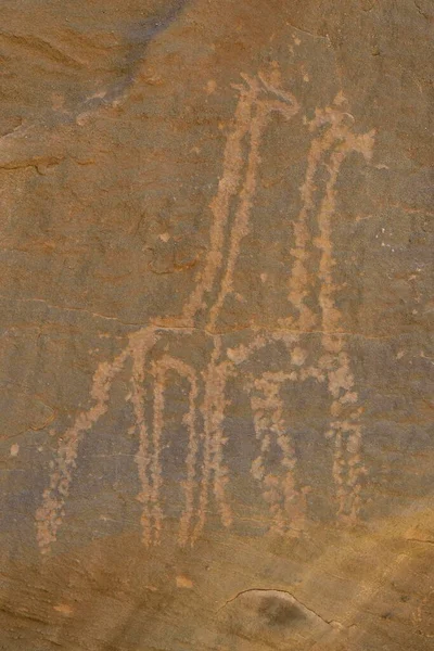 Rock Engravings Two Giraffes Neolithic Period Sabu Nubia Sudan Africa — Stock Photo, Image