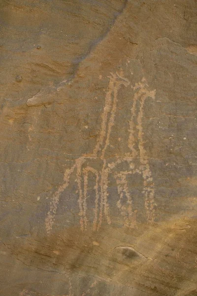 Rytiny Dvou Žiraf Období Neolitu Sabu Nubia Súdán Afrika — Stock fotografie