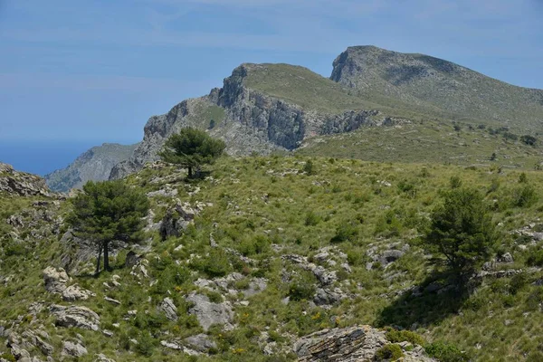 西班牙 巴利阿里群岛 马约卡 阿尔塔附近的Llevant自然半岛景观 — 图库照片