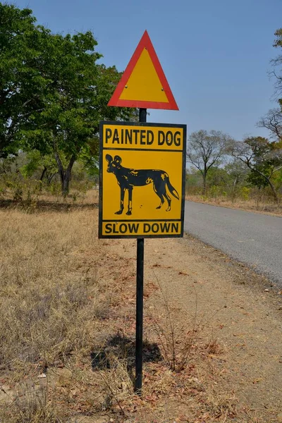 Znak Ostrzegawczy Malowany Pies Uwaga Afrykańskie Dzikie Psy Park Narodowy — Zdjęcie stockowe