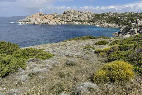 Rugged Rocky Coast Capo Testa Peninsula Santa Teresa Gallura Sardinia — Stock Photo, Image