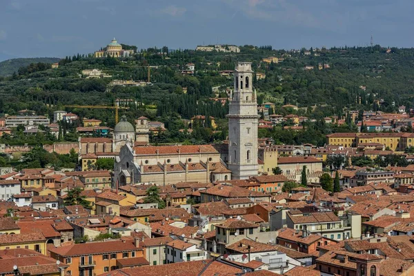 Katedralen Santa Maria Matricolare Veronaprovinsen Veneto Italien Europa — Stockfoto