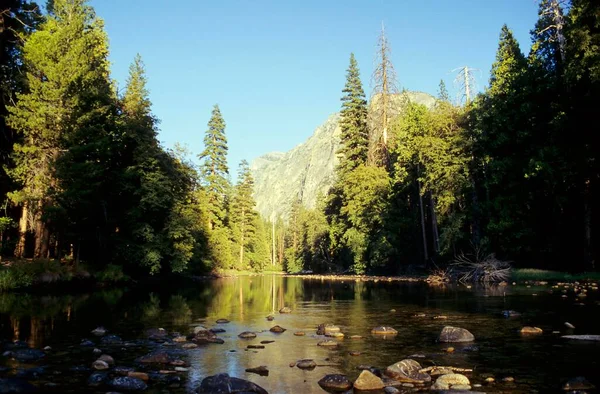 Merced River Yosemite Valley Californië Verenigde Staten Noord Amerika — Stockfoto