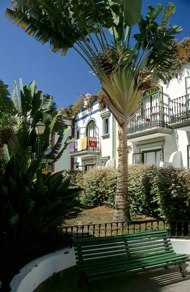 Praça Pequena Com Banco Palmeira Gran Canaria Ilhas Canárias Espanha — Fotografia de Stock