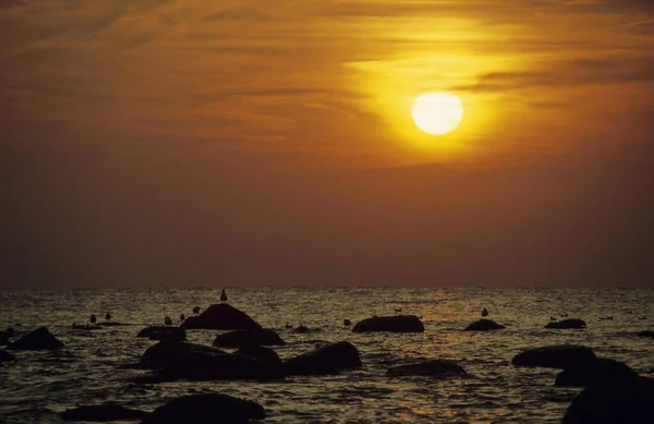 Puesta Sol Una Playa Cerca Dueodde Bornholm Dinamarca Europa — Foto de Stock