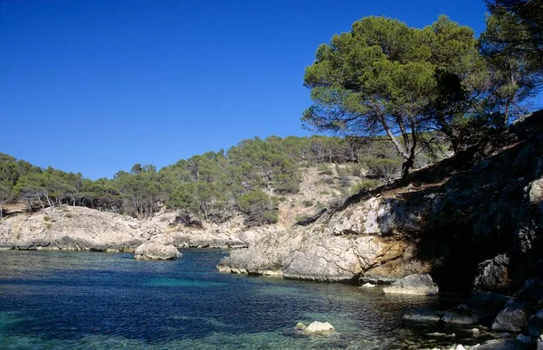 Samotna Zatoka Pobliżu Peguera Majorka Hiszpania Europa — Zdjęcie stockowe