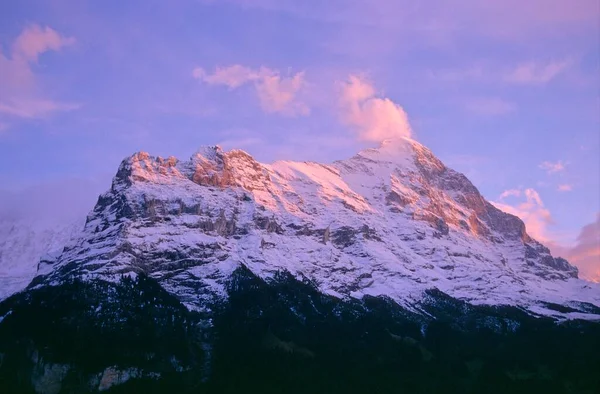 Alpenglow Vid Eiger Nära Grindelwald Schweiz Europa — Stockfoto