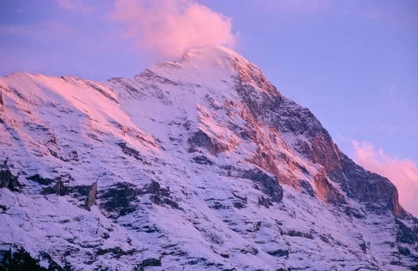 Alpenglow Cumbre Eiger Cerca Grindelwald Amanecer Suiza Europa —  Fotos de Stock