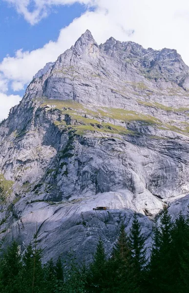 Wetterhorn Près Grindelwald Suisse Europe — Photo