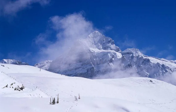 Summit Wetterhorn Med Utsikt Över Ett Snöfält Nära Grindelwald Schweiz — Stockfoto