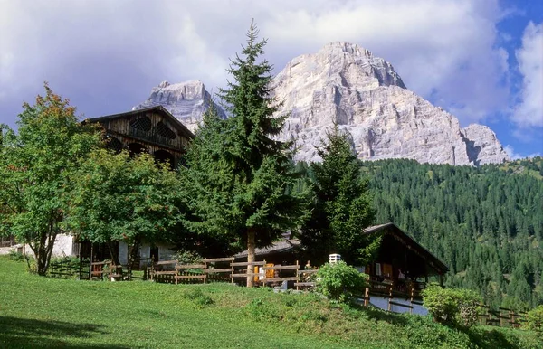 Typiska Hus Bergsbyn Zoope Cadore Dolomitbergen Italien Europa — Stockfoto