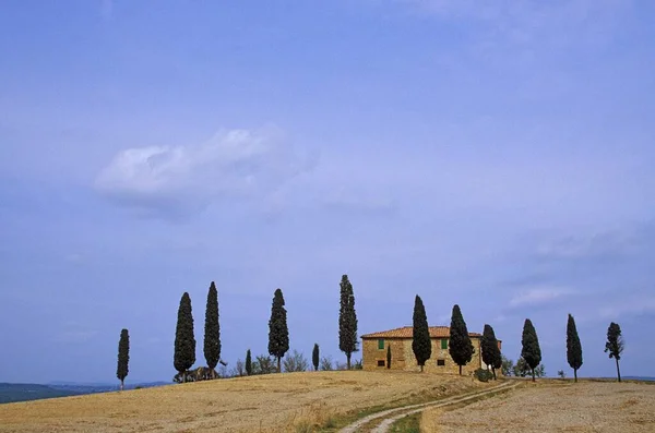 Casa Solitaria Cerca Pienza Toscana Italia — Foto de Stock