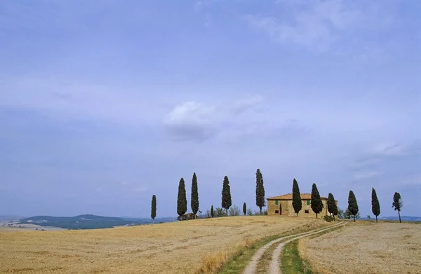 Casa Solitaria Cerca Pienza Toscana Italia — Foto de Stock