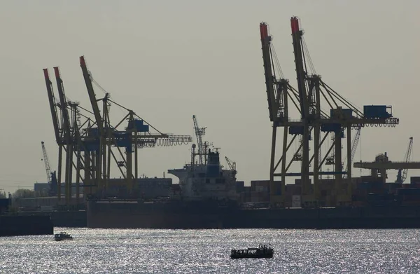 Kräne Auf Einem Containerterminal Hamburger Hafen — Stockfoto