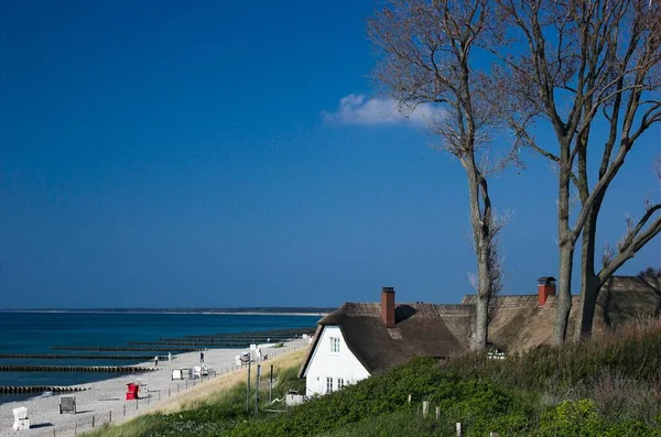 Casa Velha Com Telhado Palha Praia Ahrenshoop Darss Alemanha — Fotografia de Stock