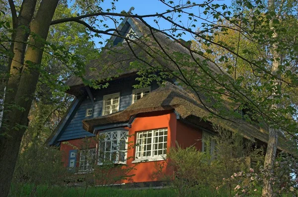 Casa Velha Colorida Típica Com Telhado Palha Ahrenshoop Darss Alemanha — Fotografia de Stock