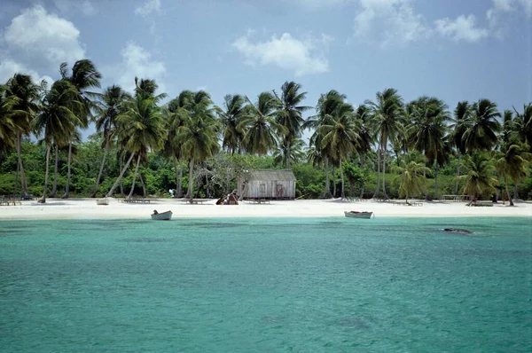 Мбаппе Пальмовом Пляже Доминиканская Республика Центральная Америка — стоковое фото