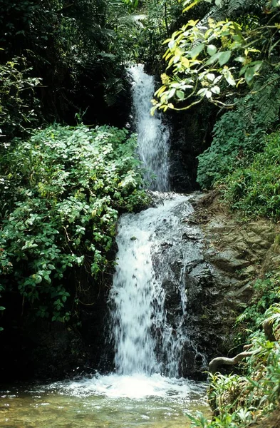 Vattenfall Regnskog Dominikanska Republiken Centralamerika — Stockfoto