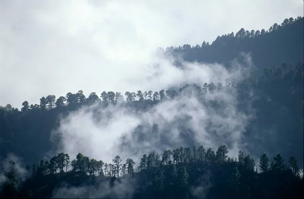 霧の中の尾根 Palma Canary Islands スペイン ヨーロッパ — ストック写真
