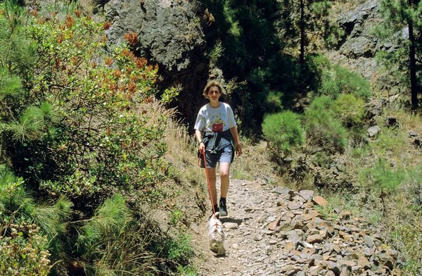Mulher Com Caminhadas Cães Caldera Taburiente Palma Ilhas Canárias Espanha — Fotografia de Stock