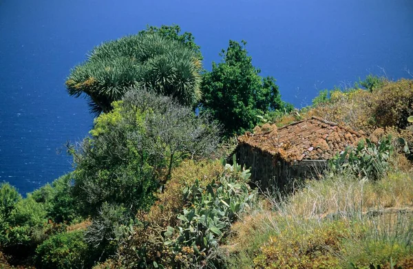 Vecchia Casa Sulla Costa Palma Isole Canarie Spagna Europa — Foto Stock