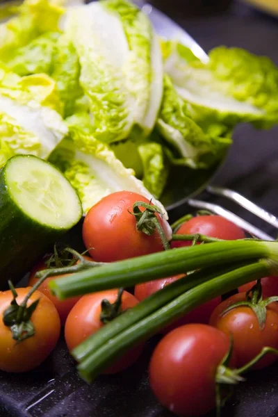 罗曼式生菜 西红柿 黄瓜和切菜 — 图库照片