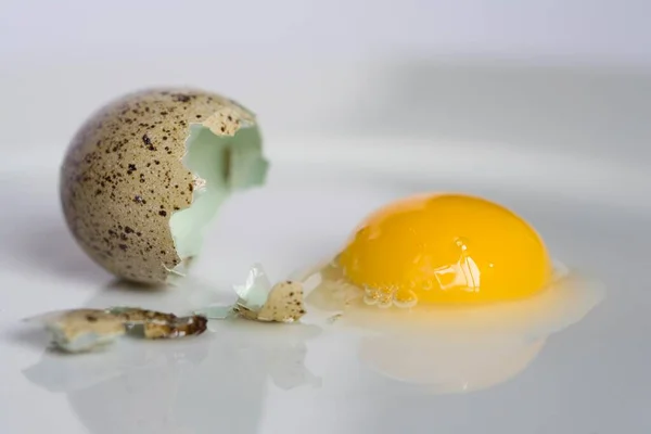 Αυγό Ορτύκι Ραγισμένο Ανοιχτό Σπασμένο Κέλυφος Αυγού Κρόκος Ασπράδι Αυγού — Φωτογραφία Αρχείου