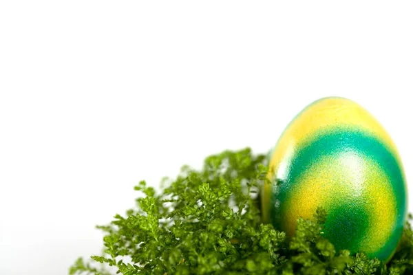 Κίτρινο Πράσινο Χρώμα Πασχαλινό Αυγό Μια Φωλιά Από Βρύα — Φωτογραφία Αρχείου