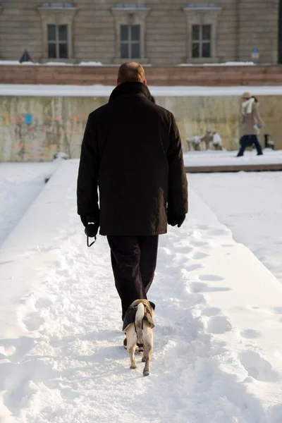 Man Walking His Dog Winter — Stock Photo, Image