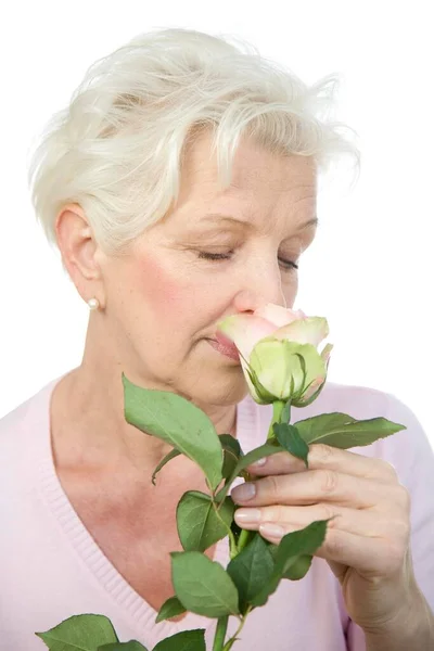 Μια Ώριμη Γυναίκα Που Μυρίζει Ροζ Τριαντάφυλλο — Φωτογραφία Αρχείου