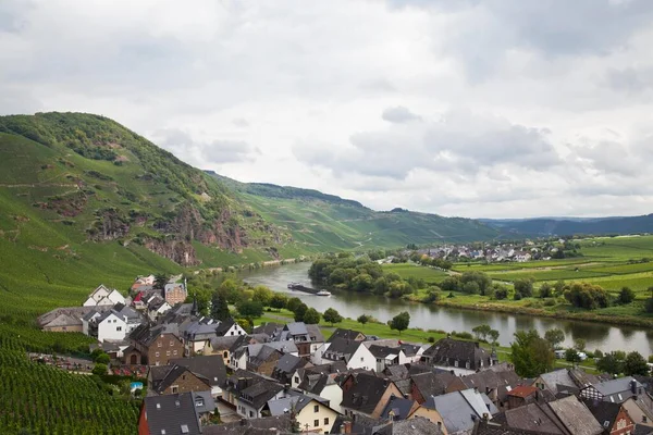 River Moselle Vineyards Uerzig Rhineland Palatinate Germany Europe Publicground Europe — стокове фото