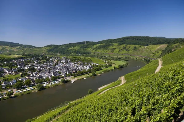 Townscape Pnderich Der Mosel Rhineland Palatinate Germany Europe — Stock Photo, Image