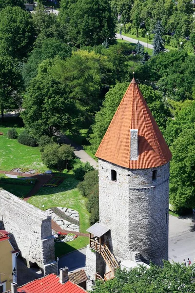 位于下城以西的Linnamr城墙塔 从位于爱沙尼亚塔林的Oleviste Kirk的St Olaf教堂塔起 — 图库照片