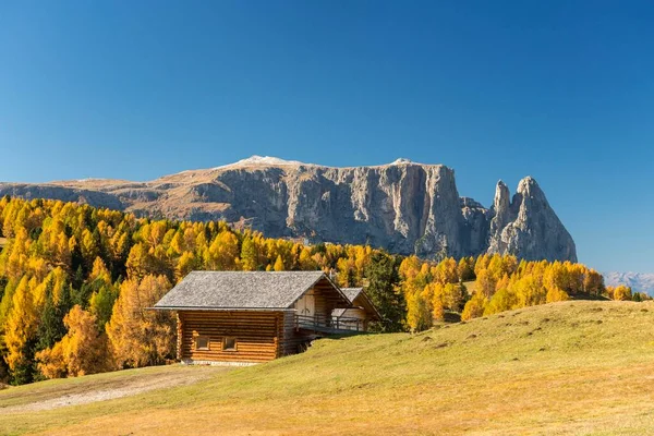 Autumnal Alpe Siusi Bergweide Met Uitzicht Het Sciliar Massief Berghut — Stockfoto