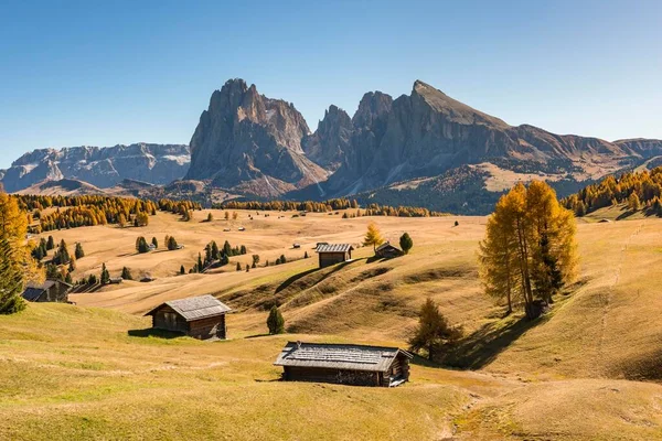 秋のSeiser Alm Sassolungo Plattkofel Alphain Hown Dolomites South Tyrol Italy — ストック写真