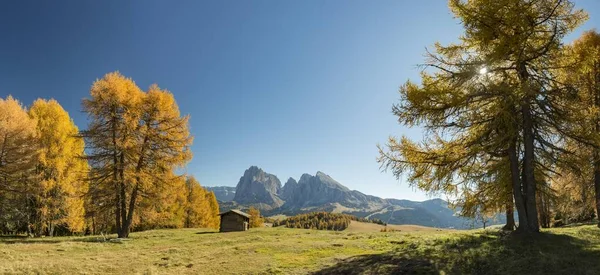 Vue Sur Alpe Sassolungo Plattkofel Dolomites Tyrol Sud Italie Europe — Photo