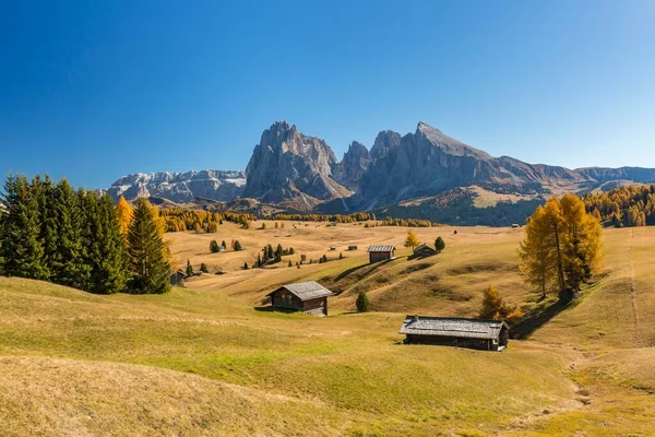 秋のSeiser Alm Sassolungo Plattkofel Alphain Hown Dolomites South Tyrol Italy — ストック写真