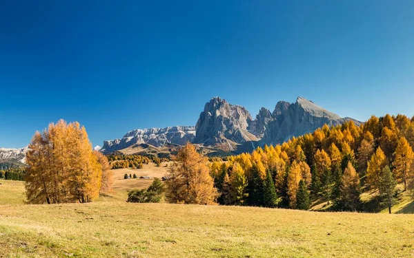 Vista Sobre Otoño Alpe Sassolungo Plattkofel Dolomitas Tirol Del Sur —  Fotos de Stock