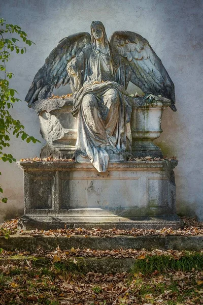 Neznámý Prošlý Hrob Andělem Sdfriedhof Mnichov Bavorsko Německo Evropa — Stock fotografie
