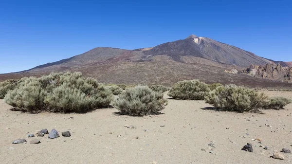 Vulcano Teide Nel Parco Nazionale Del Teide Tenerife Isole Canarie — Foto Stock