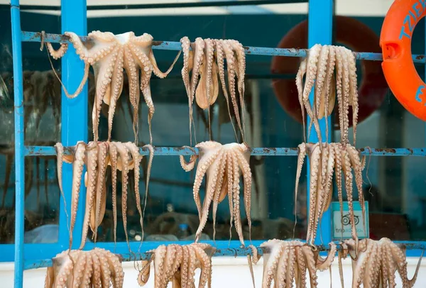 stock image Fresh octopus hung for drying, Argolis, Peloponnese, Greece, Europe