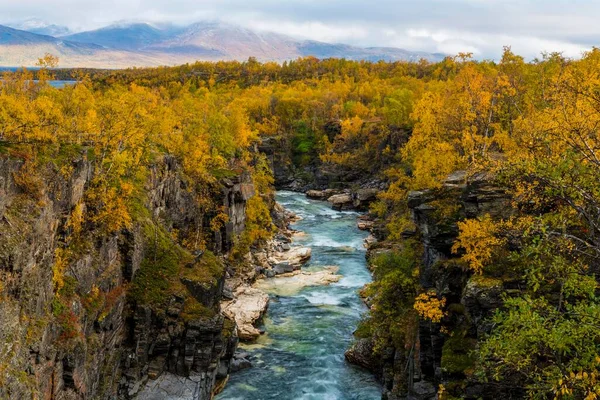 Autumnal Abisko Canyon River Abiskojkka Abiskojakka Abisko National Park Norrbottens — стоковое фото