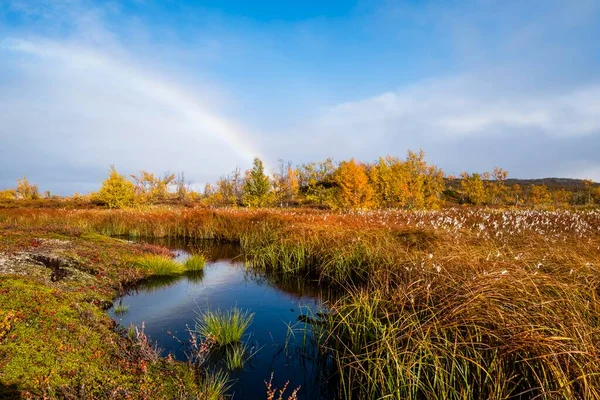 五彩缤纷的秋季风景 诺伯特 诺伯特 拉普尼亚 拉普兰 — 图库照片