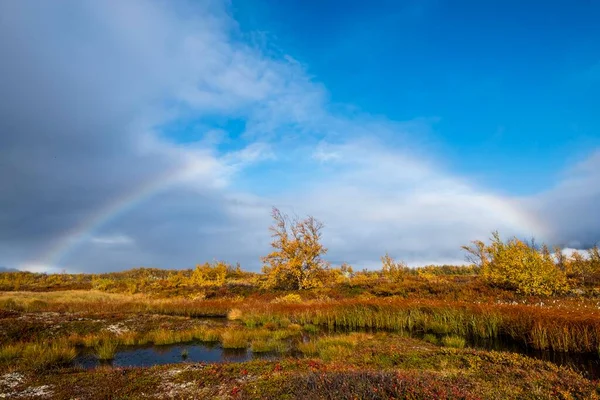 五彩缤纷的秋季风景 诺伯特 诺伯特 拉普尼亚 拉普兰 — 图库照片